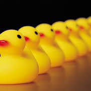 Lane Ducks